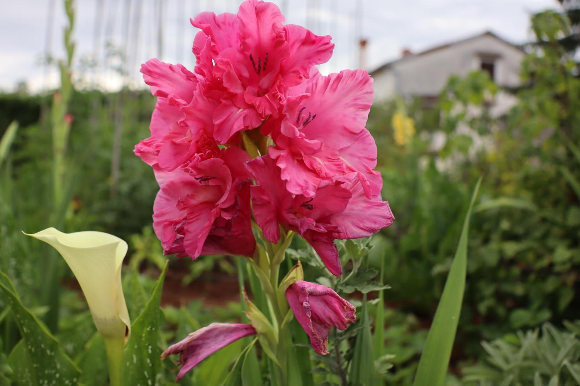 Garden Villa Štanjel エクステリア 写真