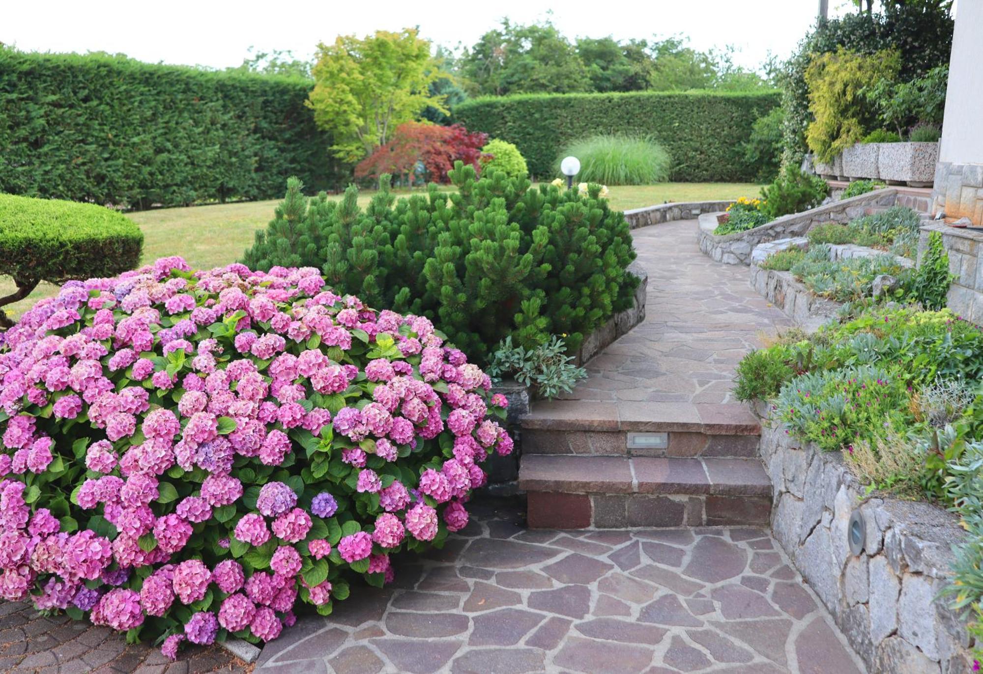 Garden Villa Štanjel エクステリア 写真