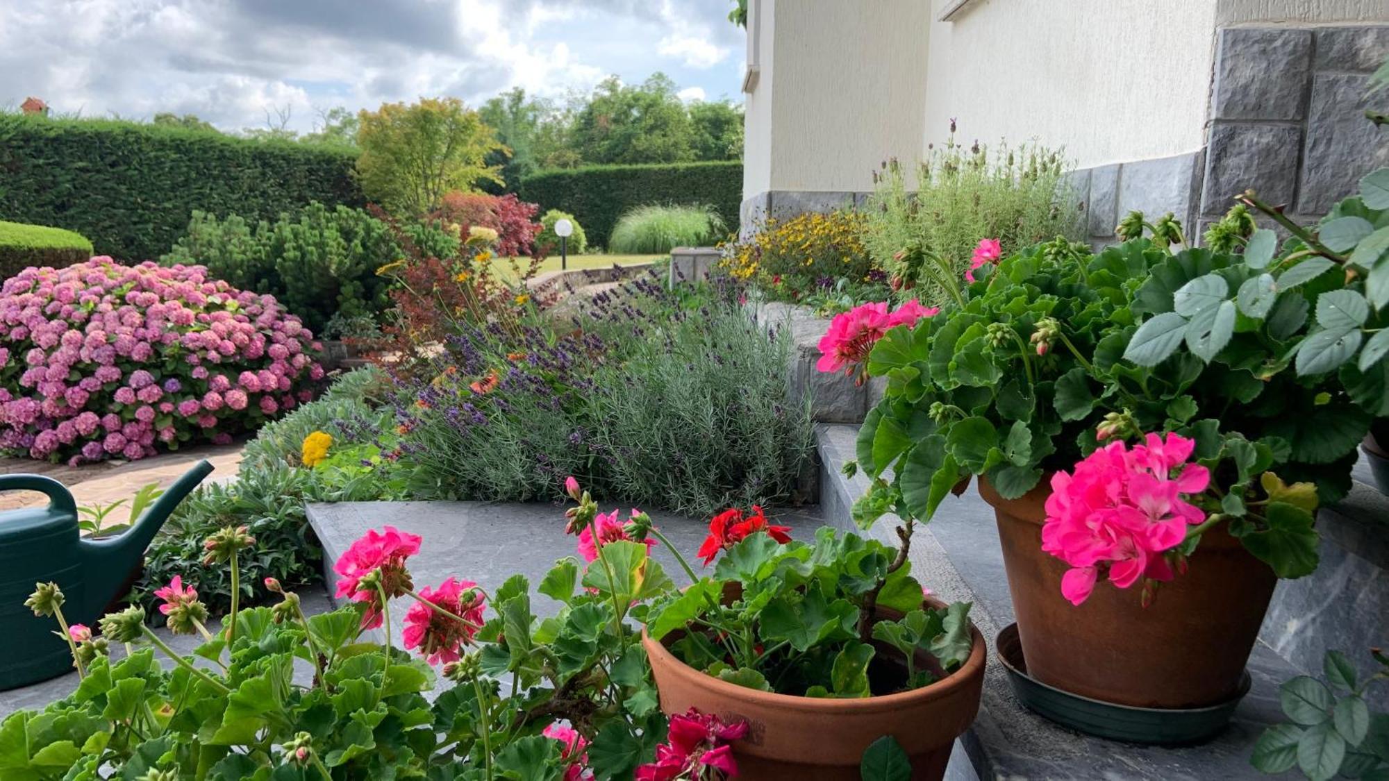Garden Villa Štanjel エクステリア 写真